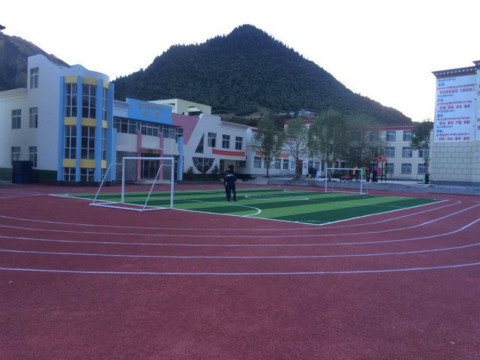 雞澤塑膠跑道廠家